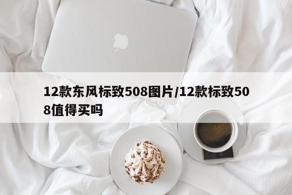 12款东风标致508图片/12款标致508值得买吗