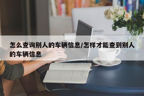 怎么查询别人的车辆信息/怎样才能查到别人的车辆信息