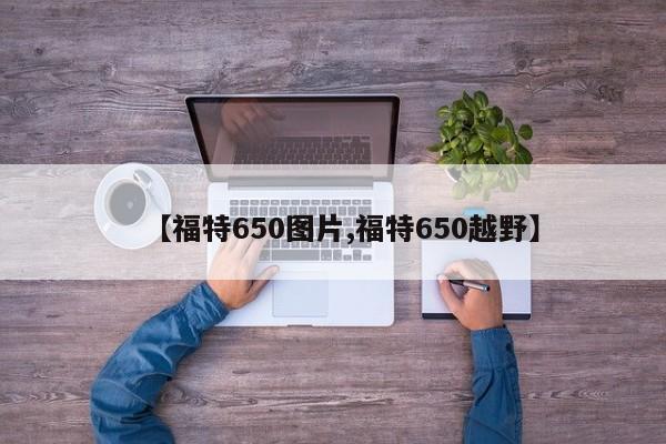 【福特650图片,福特650越野】